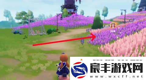 心动小镇熊蜂委托任务攻略