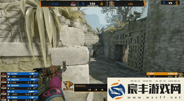 极限之地2024中国预选：拿到门票！TYLOO-2-0-LVG