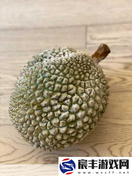 开元榴莲视频看完让你流连忘返游戏：榴莲视频盛宴：让你沉醉不已的精彩游戏体验