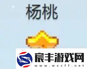 星露谷物语什么酒最赚钱-星露谷物语酒类价格排行