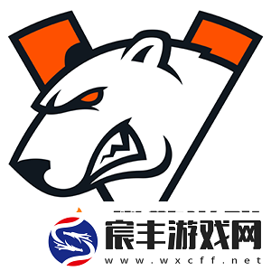 MIBR教练