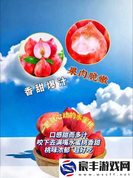 久久蜜桃：蜜桃的甜蜜之旅：探索久久不变的美味滋养