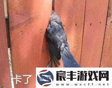 2K停用游戏启动器-玩家呼吁EA育碧R星跟进：流畅启动何时来