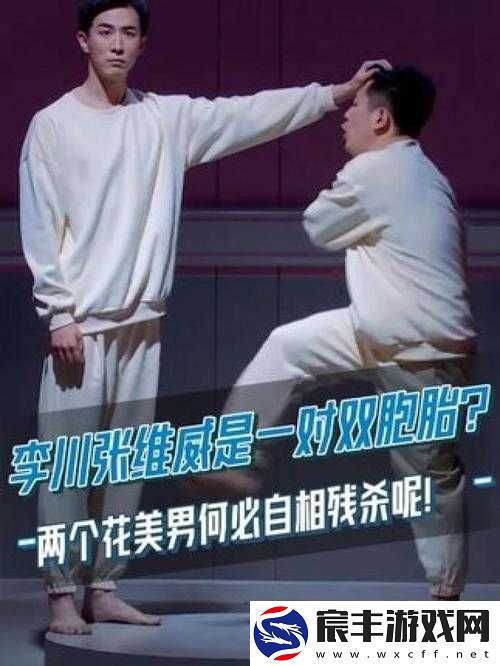 双胞胎一前一后夹心饼干双子：独特现象探秘