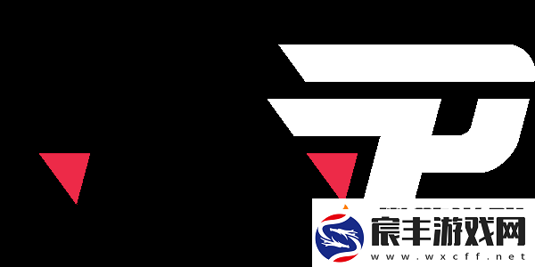 少年辍学成怪才