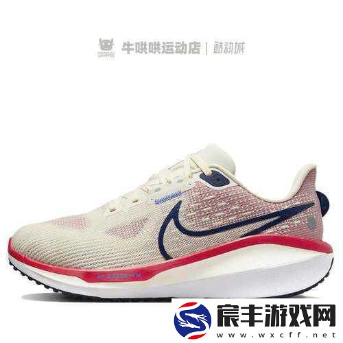Zoom与牛性Zoom比较：探索Zoom与牛性Zoom的功能及应用差异分析