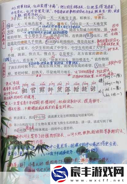 纵容的母爱第16段-纵容背后的深情：母爱的复杂与坚韧