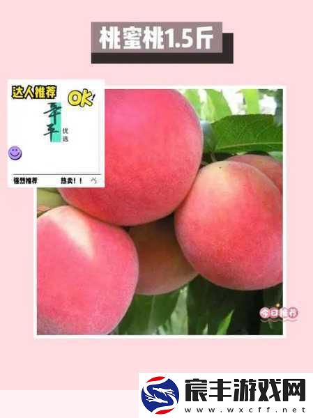 蜜桃5D：探秘蜜桃5D的魅力与无尽可能-开启新体验之旅！