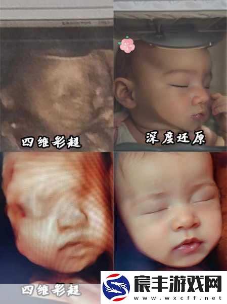 男女一起努力生孩子：共同携手迎接新生命的美好旅程
