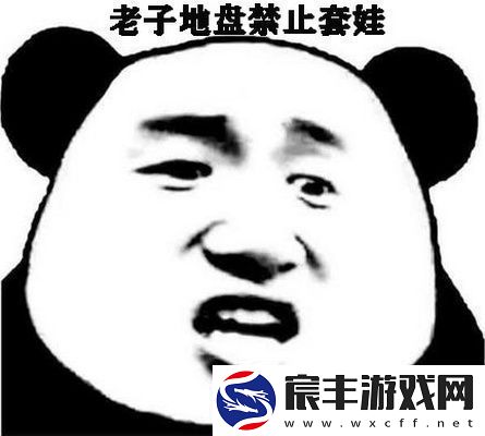 禁止套娃什么梗
