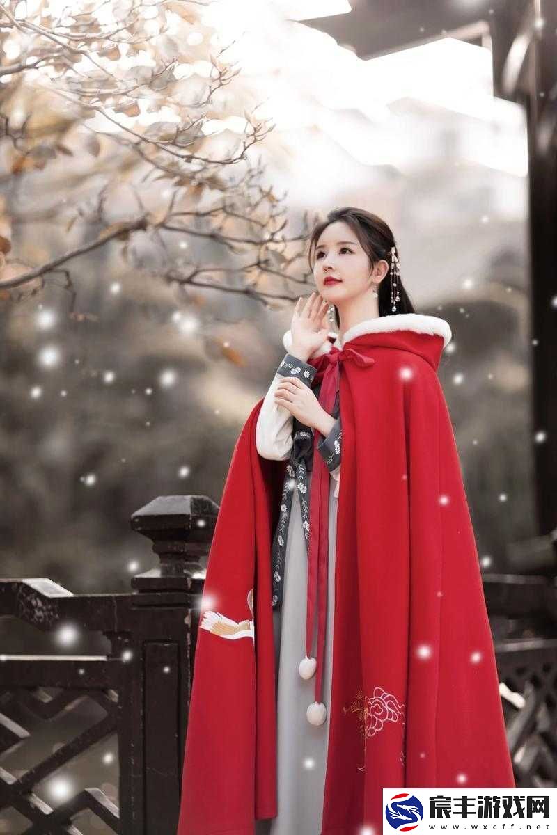 风之旅红色小斗篷与愿望酒杯：谁更胜一筹