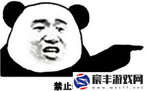 禁止套娃什么梗-抖音评论禁止套娃什么意思