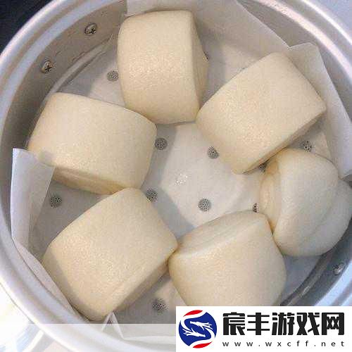 不小心看到6年级的小馒头：偶然间发现六年级小馒头的成长轨迹与心路历程