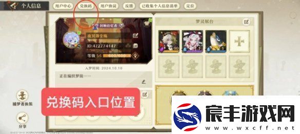 无尽梦回兑换码怎么用