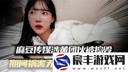 麻豆精品秘-国产传媒MV：探索麻豆精品秘境：独特视角下的国产传媒MV魅力续篇