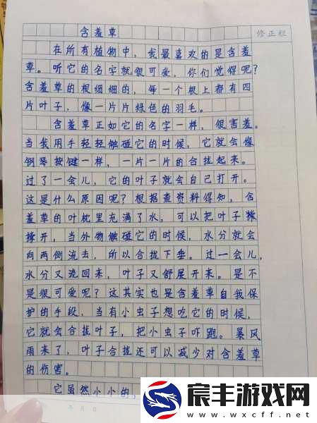 含羞草传媒2024隐藏线路：探索含羞草传媒2024的隐秘通道与新机遇