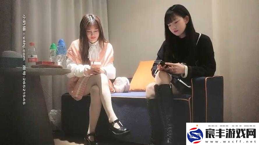 双飞探花女仆装大学生轮换着操