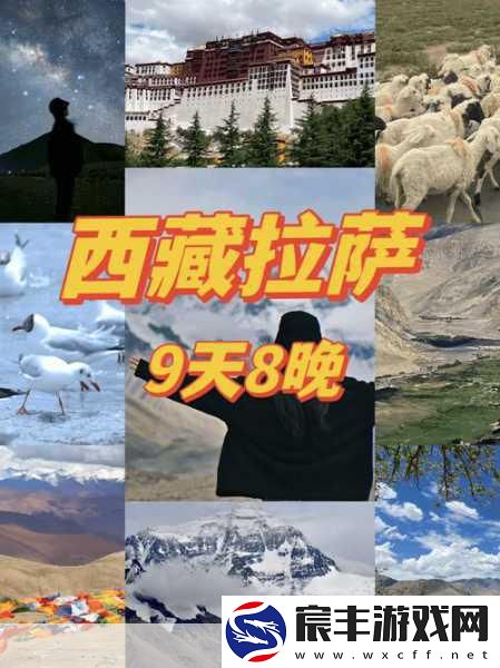 天堂在／线在线资源8：探索在线资源的无限可能-开启全新天堂之旅！