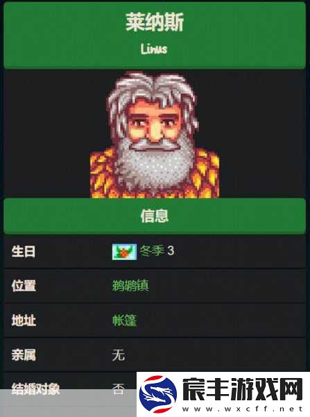 探索星露谷-人物行程的神秘密码