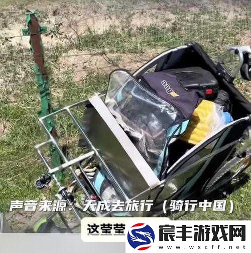 车子一晃一晃就c进肉了的游戏：惊险刺激的拓展车行驶-肉体碰撞大挑战！