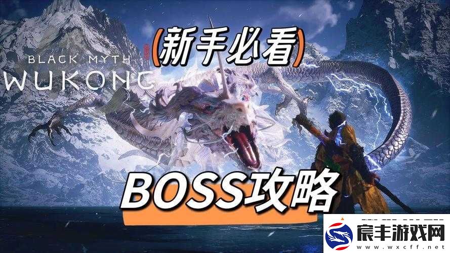封天之战：BOSS抢夺攻略秘籍