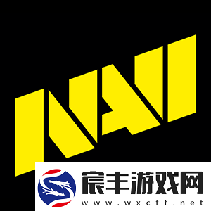欧洲RMR