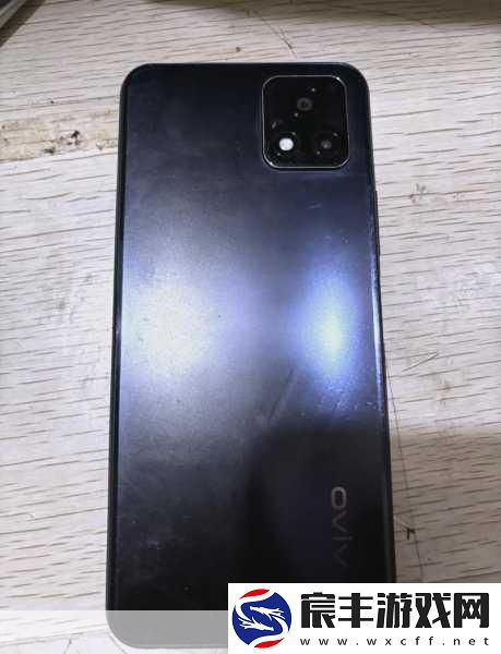一级成色好的y31s标准版免费：高品质Y31S标准版-一级成色免费拓展大放送！