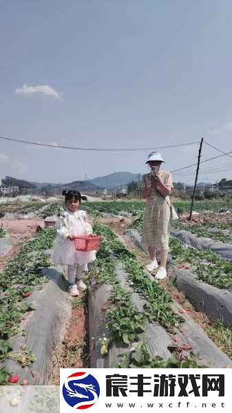 旧草莓无线观看：重温经典：旧草莓无线观看的魅力与新解读