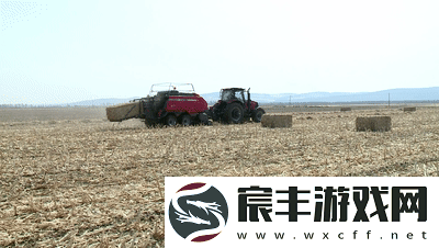 51大豆行情网免费：拓展51大豆行情网-助力农民精准把握市场动态