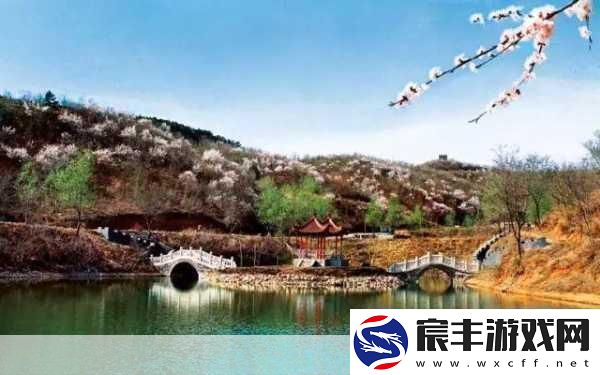 jy收集系统白清素探索白清素的神秘世界与应用潜力