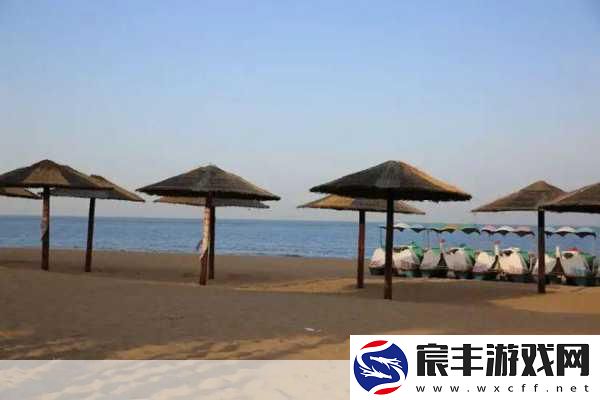 亚洲人成色777777黄金海岸：亚洲风情与自然魅力交融的黄金海岸之旅