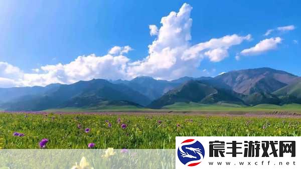 伊犁园20243秒转入：伊犁园美景尽收眼底-探索2024年的新魅力与期待