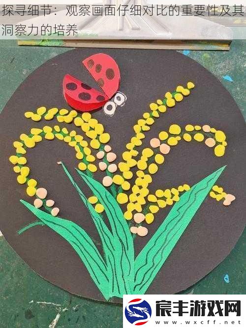 探寻细节：观察画面仔细对比的重要性及其洞察力的培养