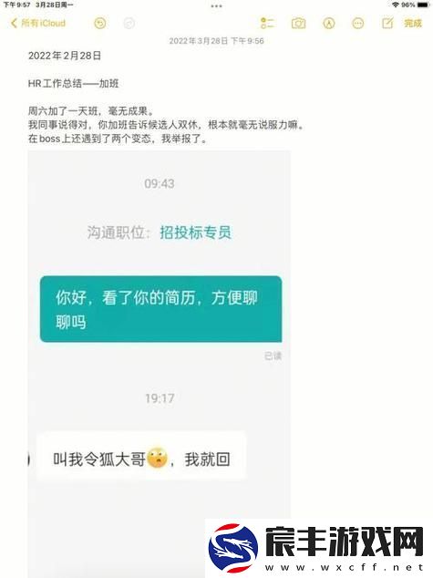 瞒着老公加班的hr中字-友：这背后隐藏着什么秘密