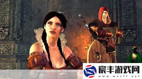 巫师2:刺客之王石像鬼合约任务全解析
