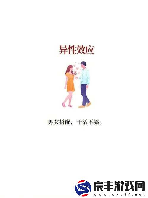 男女搭配干活不累：XX职场故事