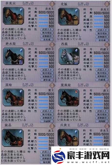 真国无双8属性珠选择攻略：珠子挑选推荐指南
