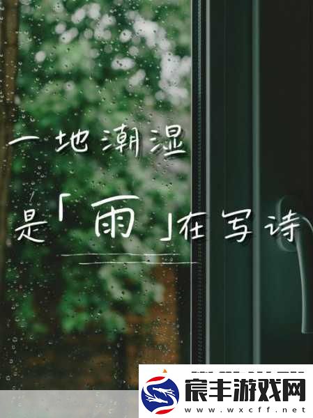 下面湿漉漉的像是刚下过雨-1.-雨后清新：湿漉漉的世界之美