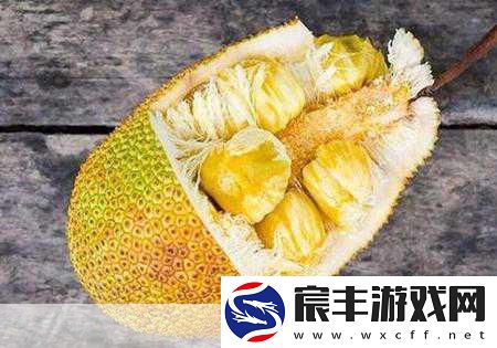 日产精品一区三区二区菠萝蜜-探索日产精品一区三区二区菠萝蜜的独特魅力与价值