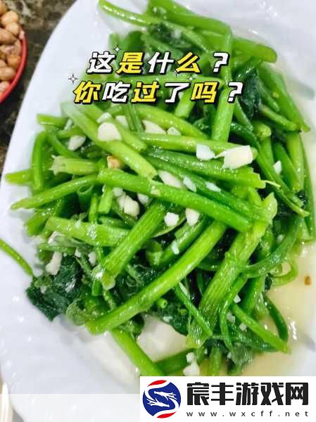 五一吃瓜-近日：“五一假期吃瓜盛宴：美食与欢乐的完美结合”