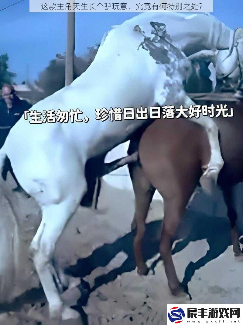 这款主角天生长个驴玩意究竟有何特别之处