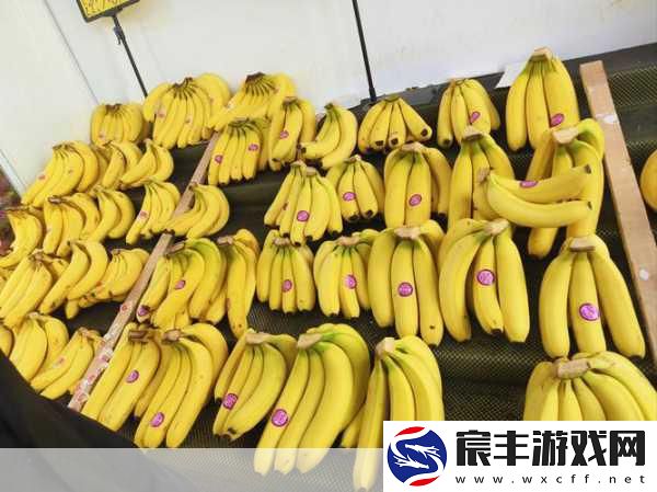 草莓榴莲樱桃蜜桃秋葵：多彩水果盛宴：草莓、榴莲、樱桃与蜜桃的奇妙搭配