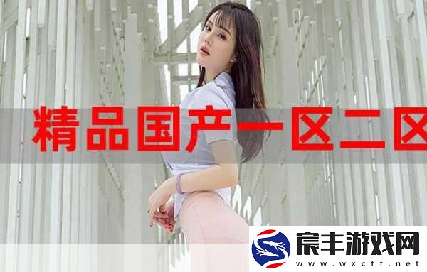国精产品自偷自偷：拓展国精产品自我创新-推动市场新机遇与发展