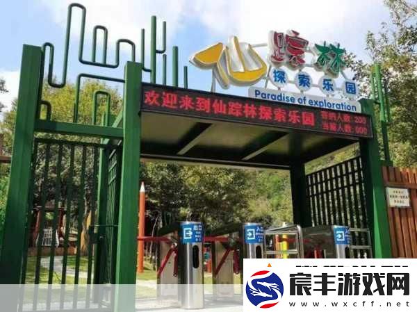 幼儿仙踪林儿童-1.-走进神奇的仙踪林-探索自然奥秘