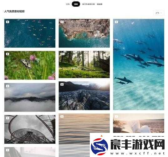 全成高清短视频素材在哪里找-1.-全成高清短视频素材的获取渠道与技巧