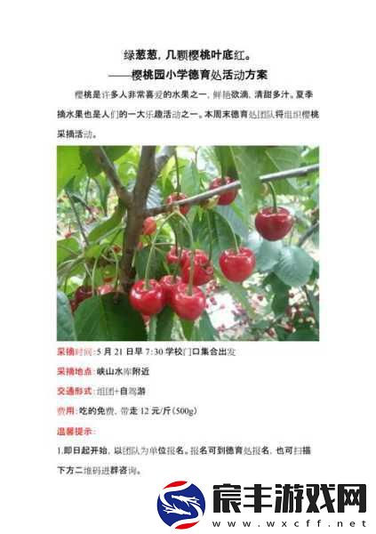 樱桃免费：免费拓展樱桃-助你轻松享受美味人生！