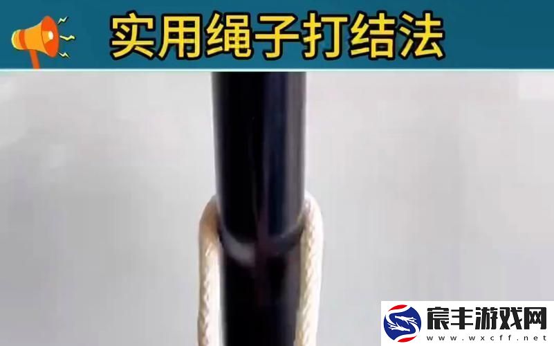 "绳结漫步-木马神奇：友辣评-科技界的这场狂欢"