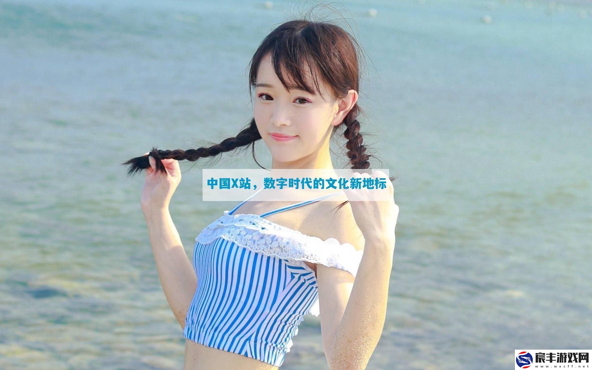 中国X站数字时代的文化新地标