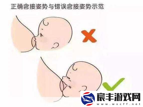 一边下奶一吃敷视频免费观看：促进乳汁分泌与营养摄入的双重方法探索视频分享