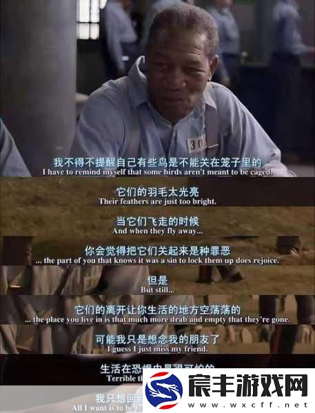 饥饿的阿-猎手：饥饿的阿猎手：在绝望中追寻生存的希望
